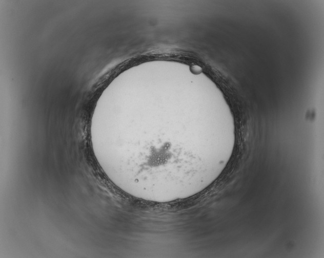 X0000111141206200907211130