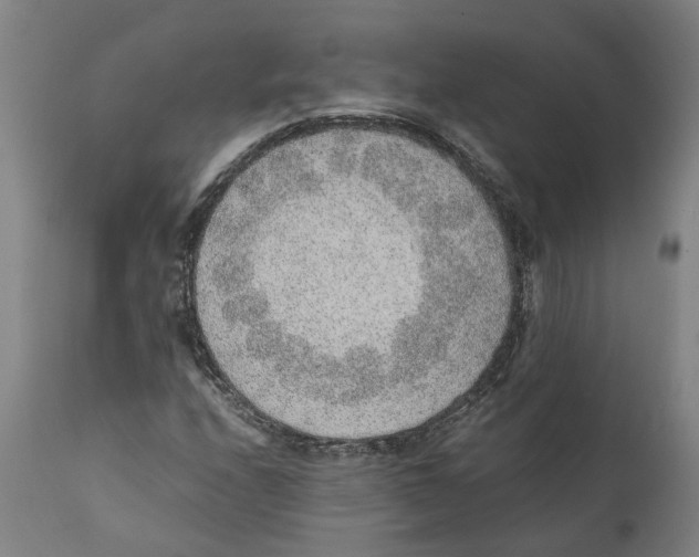 X0000111141208200907211130