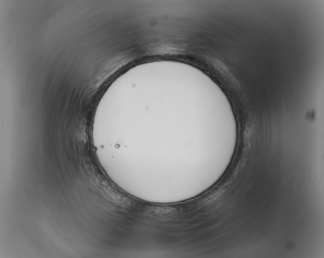 X0000111141209200907211130