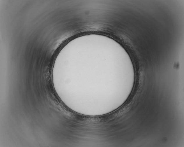 X0000111141210200907211130