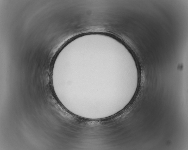 X0000111141212200907211130