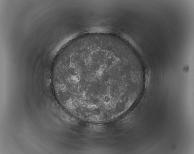 X0000111141213200907211130