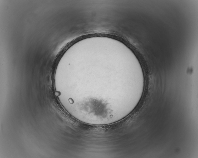 X0000111141214200907211130