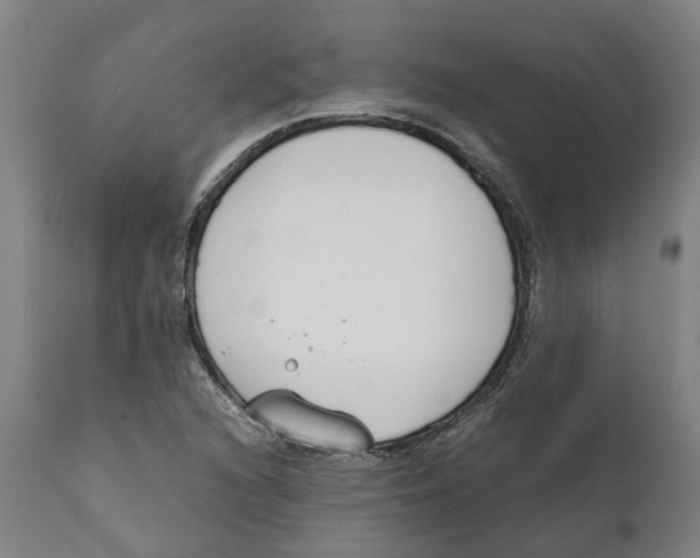 X0000111141216200907211130