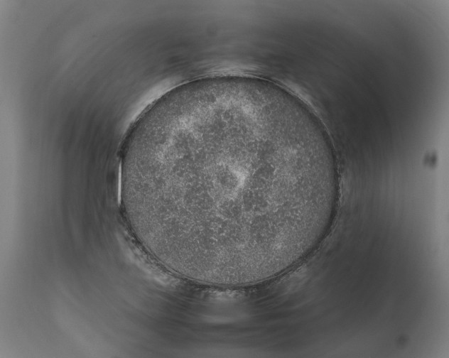 X0000111141219200907211130