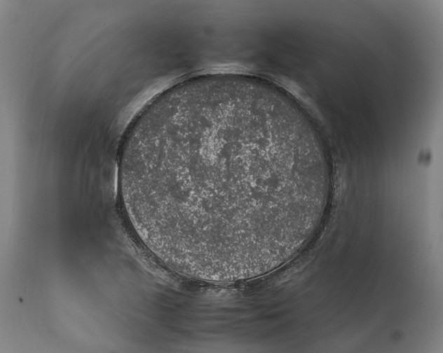 X0000111141221200907211130