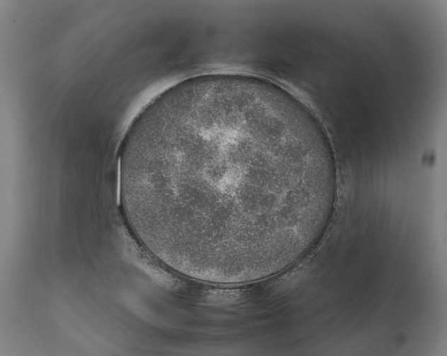 X0000111141223200907211130