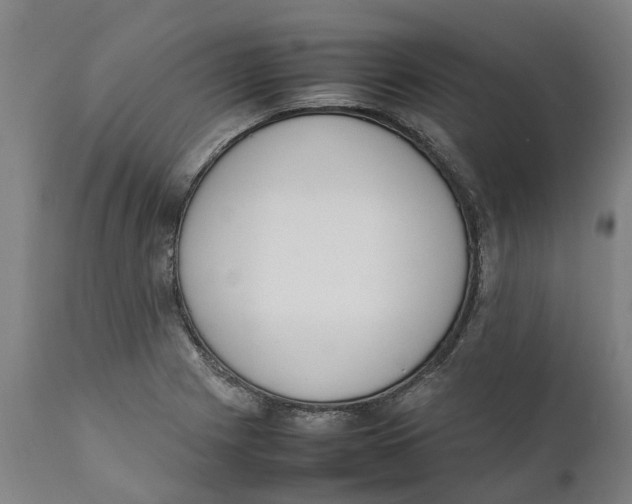 X0000111141225200907211131