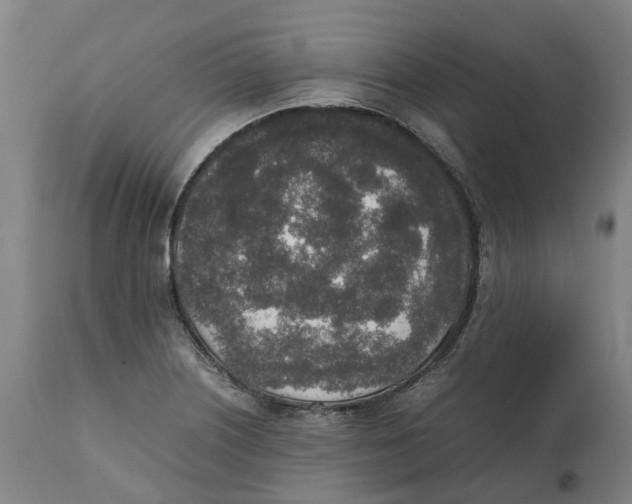 X0000111141226200907211131