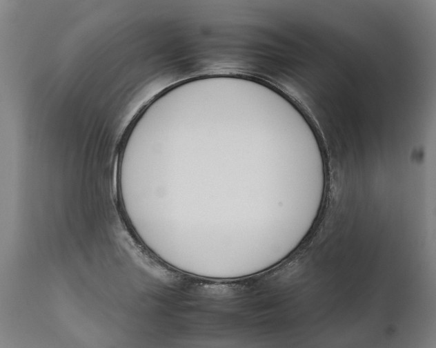 X0000111141227200907211131