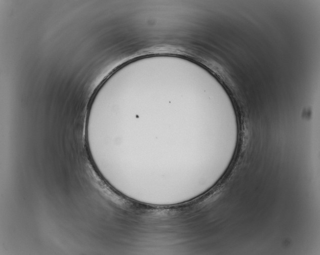 X0000111141228200907211131