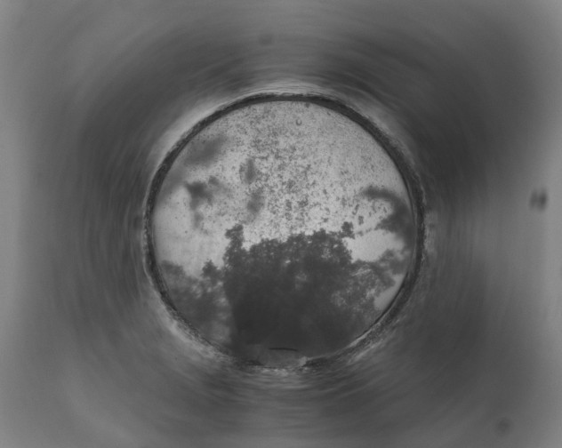 X0000111141229200907211131