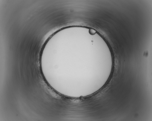 X0000111141230200907211131