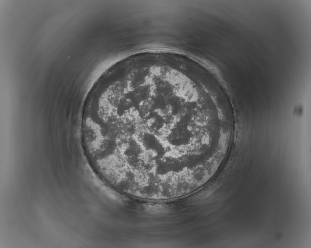 X0000111141231200907211131