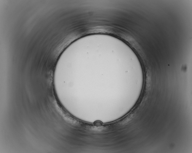 X0000111141233200907211131