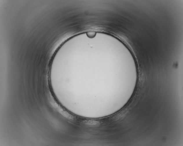 X0000111141235200907211131