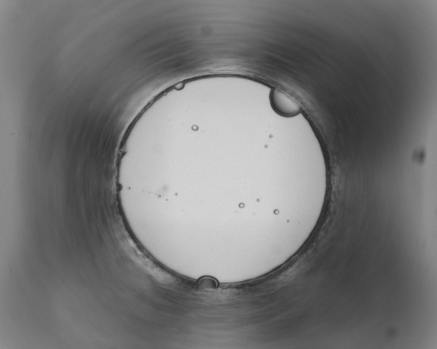 X0000111141236200907211131