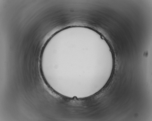 X0000111141237200907211131