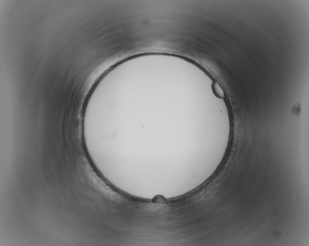 X0000111141238200907211131