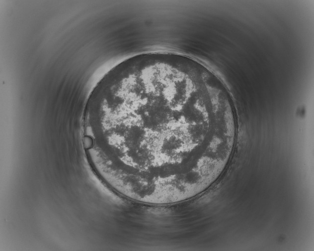 X0000111141239200907211131