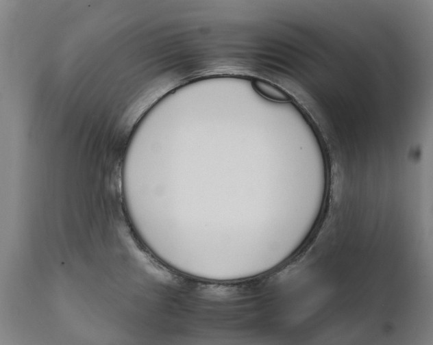 X0000111141241200907211131