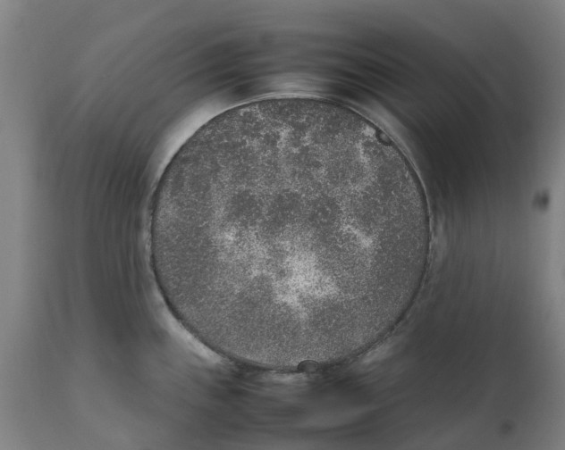 X0000111141243200907211131