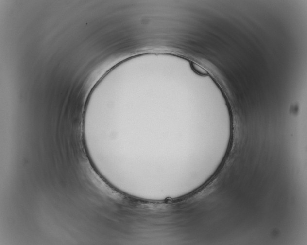 X0000111141244200907211131