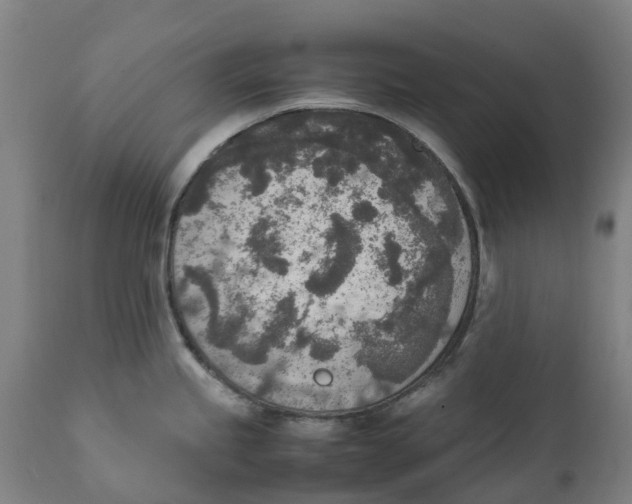 X0000111141245200907211131