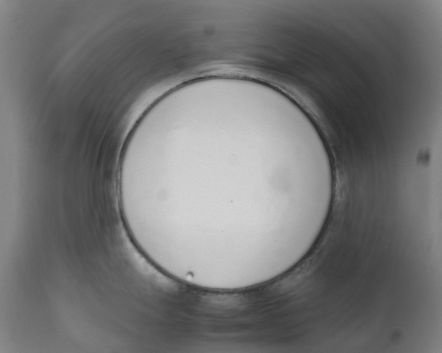 X0000111141247200907211131