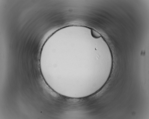 X0000111141248200907211131