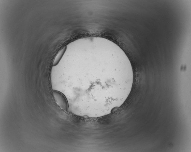 X0000111141249200907211130