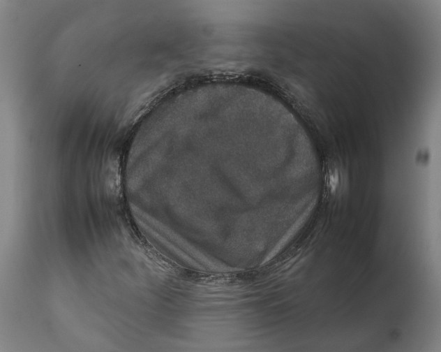 X0000111141252200907211130