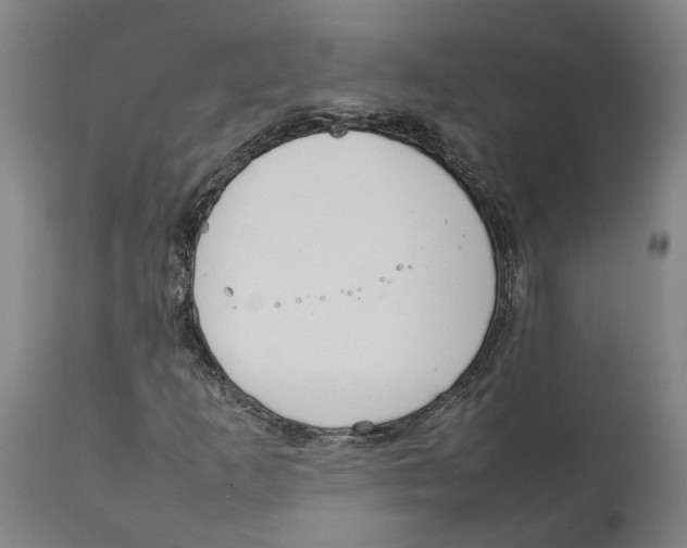 X0000111141253200907211130