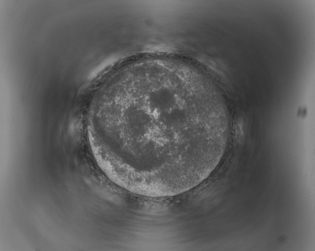 X0000111141254200907211130