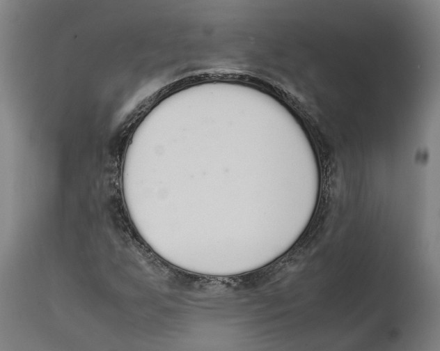 X0000111141255200907211130