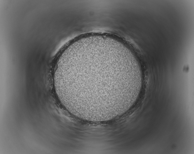 X0000111141256200907211130