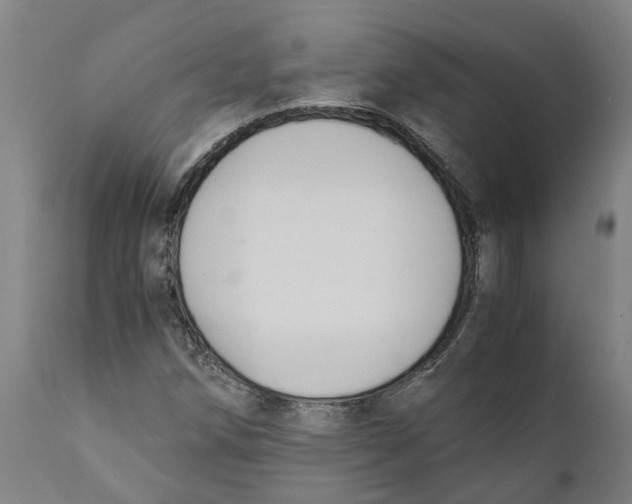 X0000111141258200907211130