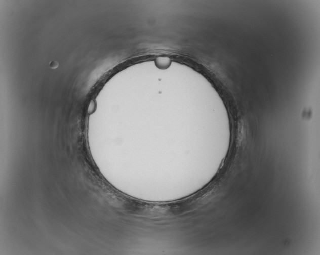 X0000111141261200907211130