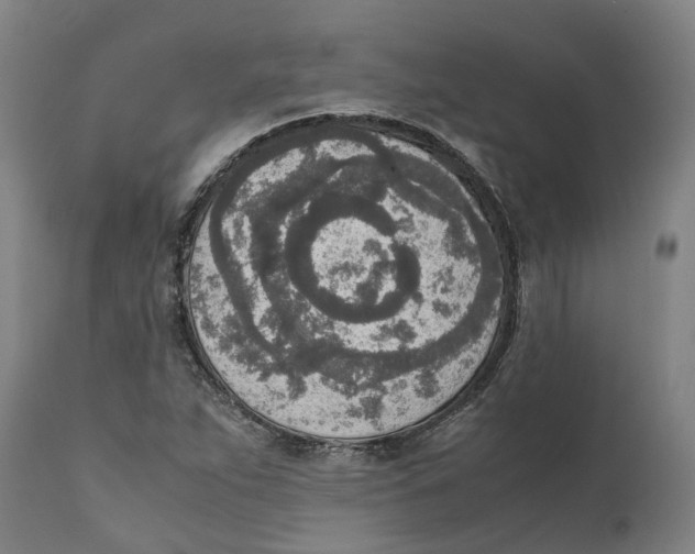 X0000111141263200907211130