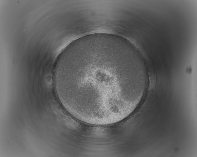 X0000111141266200907211130