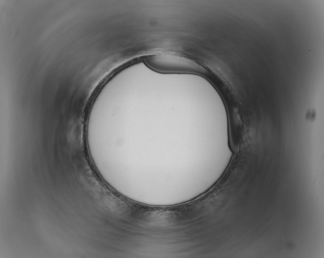 X0000111141268200907211130