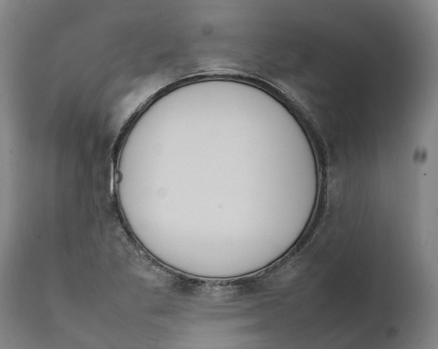 X0000111141269200907211130