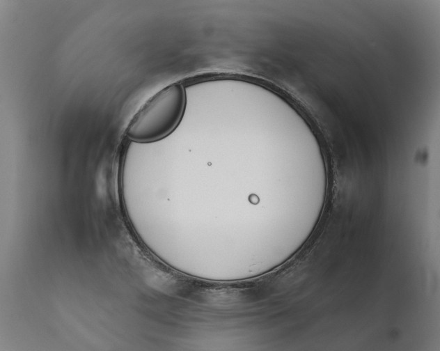 X0000111141272200907211130