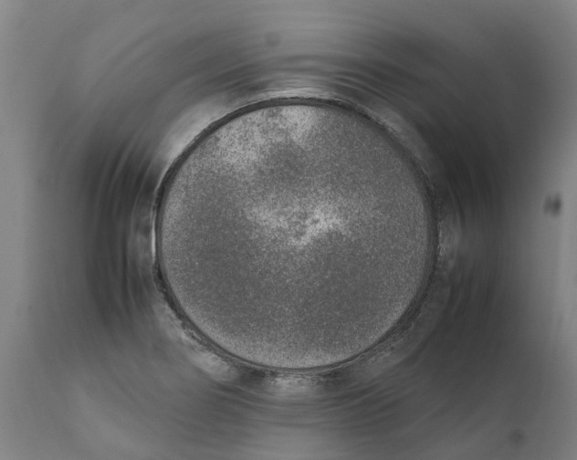 X0000111141274200907211130