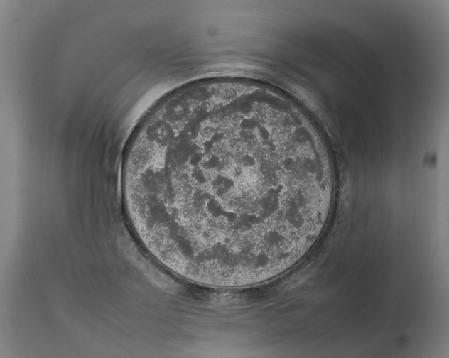 X0000111141275200907211130