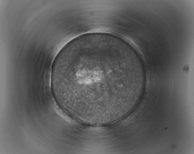 X0000111141276200907211130