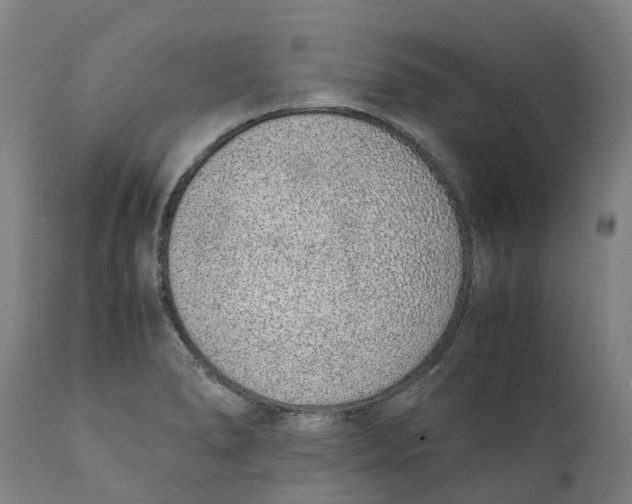 X0000111141278200907211130