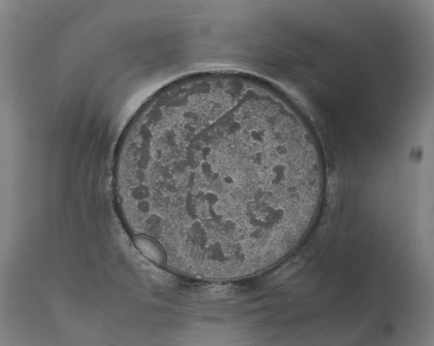 X0000111141279200907211130