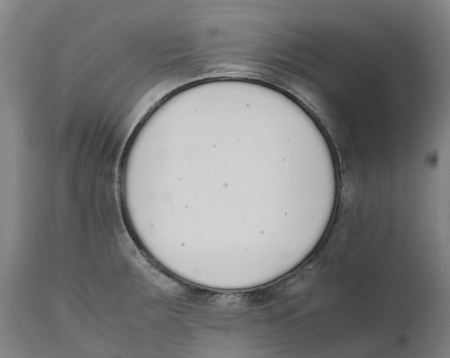 X0000111141283200907211130