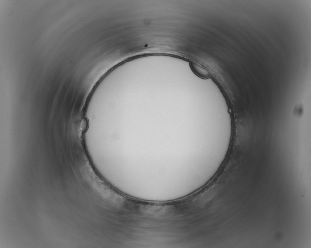 X0000111141284200907211130